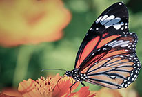 ip攻击器网页版