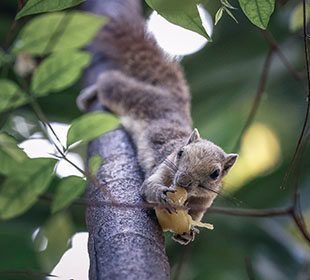 人工智能工具的网站攻击防护