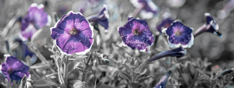 ddos压力测试平台