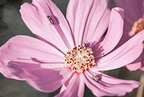 有没有人网站攻击防护