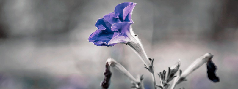 服务器攻击软件